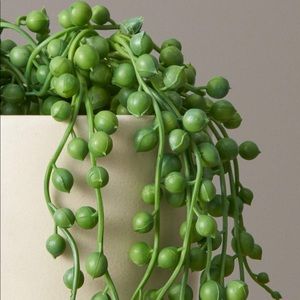 Faux “String of Pearls” plant and ceramic pot, the Sill